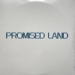 Vintage Culture - Promised Land (2xLP - Marbled Clear White & Apple Green)