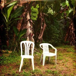 Bad Bunny - Debí Tirar Más Fotos (2xLP - Gatefold - White)