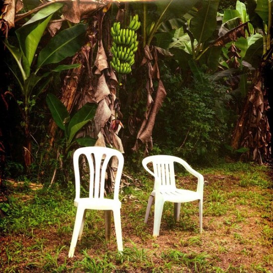 Bad Bunny - Debí Tirar Más Fotos (2xLP - Gatefold - White)