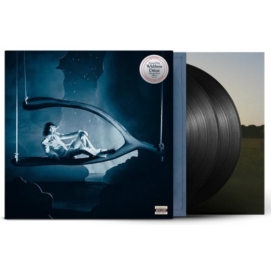 Conan Gray - Wishbone Deluxe (2xLP - Gatefold - Midnight Black + Poster)