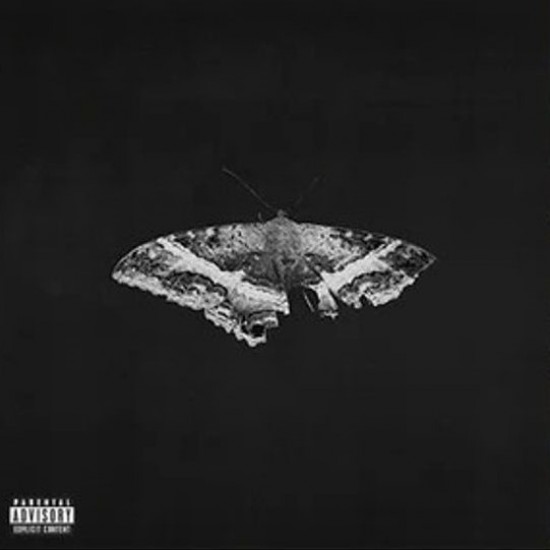 Kendrick Lamar - To Pimp A Butterfly (2xLP - Gatefold - 10th Anniversary Limited Edition - Graphite)