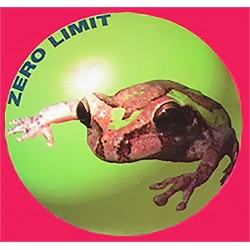 Zero Limit - Verificación (12") 