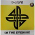 D-Javu - In The Evening (12")* 
