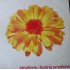 Emotions - Feeling Emotions (12")* 