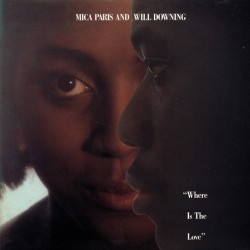 Mica Paris And Will Downing - Where Is The Love (12")