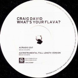 Craig David - What's Your Flava? (12" - Promo)