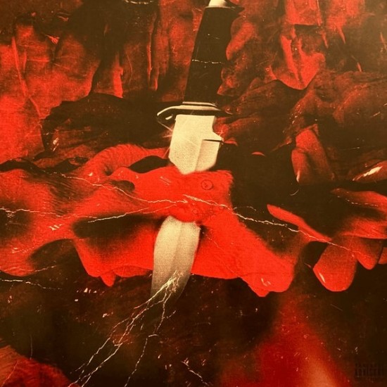 21 Savage & Metro Boomin - Savage Mode (LP - 10th Anniversary Edition)