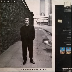 Black - Wonderful Life (LP)*