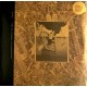 Pixies - Come On Pilgrim - It's Surfer Rosa (3xLP - 30th Anniversary Edition - Gold)