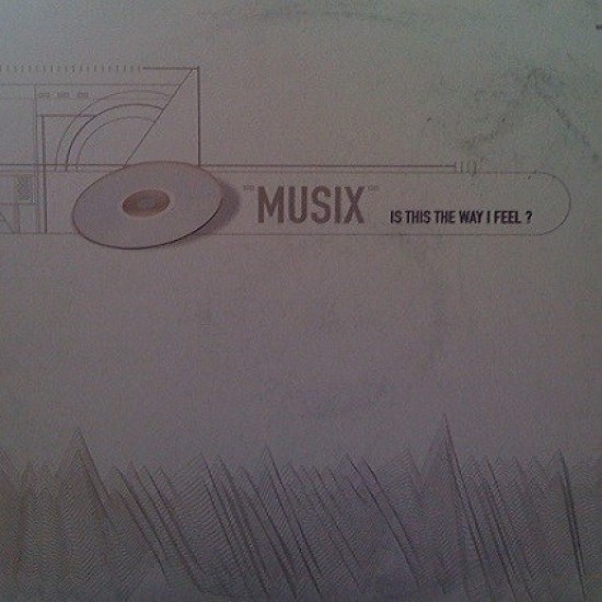 Musix - Is This The Way I Feel ? (12") 