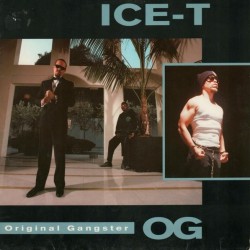 Ice-T - O.G. Original Gangster (LP)*