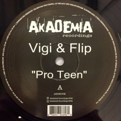 Vigi & Flip - Pro Teen (12")