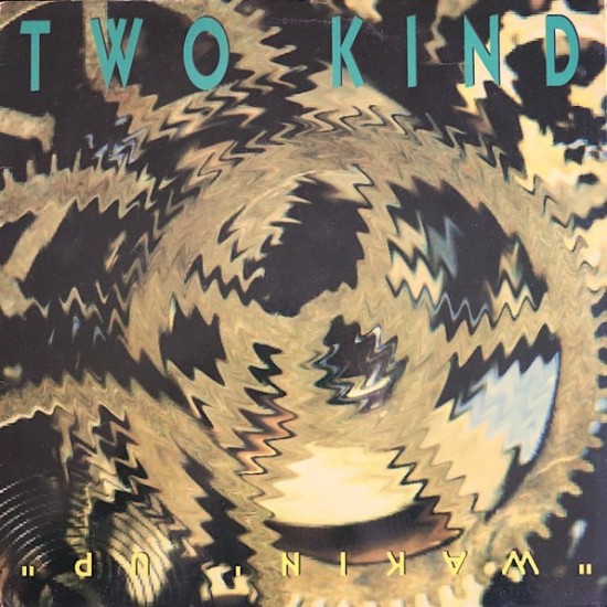 2 Kind - Wakin' Up (12")