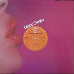 The Jacksons - Blame It On The Boogie (12")*