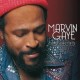 Marvin Gaye - Collected (2xLP - Limited Numbered Edition - 180g - Gatefold - White + Silver)