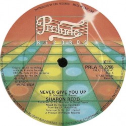 Sharon Redd - Never Give You Up / Beat The Street (12")
