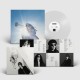 Geese - Getting Killed (LP - Clear)