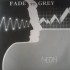 Neon - Fade To Grey (12")