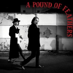 The Black Crowes - A Pound Of Feathers (LP - Gatefold)