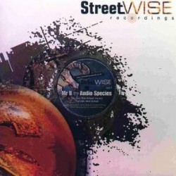 Mr. B vs. Audio Species - Next School (12")