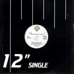 Narada Michael Walden - Gimme, Gimme, Gimme (12")