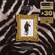 The Prodigy - Firestarter x30 (12")