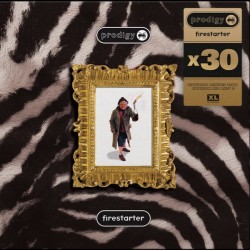 The Prodigy - Firestarter x30 (12")