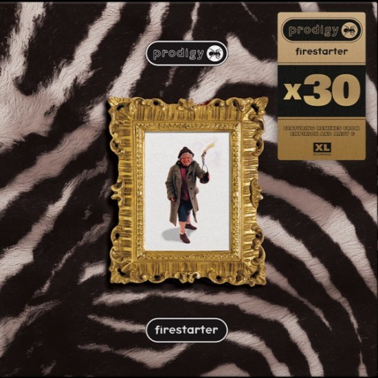 The Prodigy - Firestarter x30 (12")