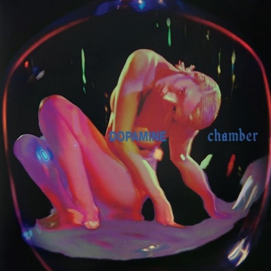 Fontaines D.C. - Dopamine Chamber (2xLP - Limited Deluxe Edition - Gatefold - Alt Cover + Poster)