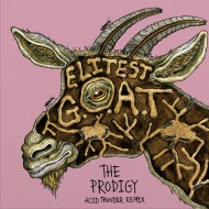 Sleaford Mods f. Aldous Harding - Elitest G.O.A.T The Prodigy Acid Thunder Remix (7" - Limited Edition - Gold) 