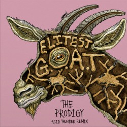 Sleaford Mods Ft. Aldous Harding - Elitest G.O.A.T The Prodigy Acid Thunder Remix (7" - Limited Edition - Gold) 