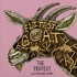 Sleaford Mods f. Aldous Harding - Elitest G.O.A.T The Prodigy Acid Thunder Remix (7" - Limited Edition - Gold) 
