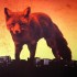 The Prodigy "The Day Is My Enemy" (2xLP - 180gr)