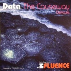 Data - The Causeway / Delicate (12") 