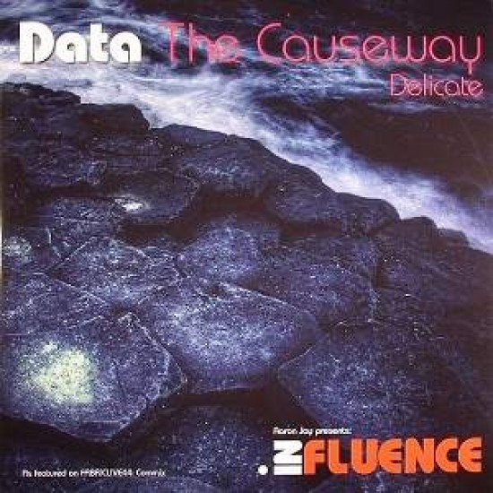 Data "The Causeway / Delicate" (12") 