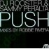 DJ Rooster & Sammy Peralta - Push (12") 