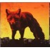 The Prodigy - The Day Is My Enemy (CD)  The Prodigy - The Day Is My Enemy (CD)