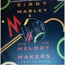 Ziggy Marley And The Melody Makers ‎"Tumblin' Down"(10")