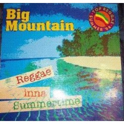 Big Mountain ‎"Reggae Inna Summertime" (12")