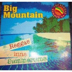 Big Mountain - Reggae Inna Summertime (12") 