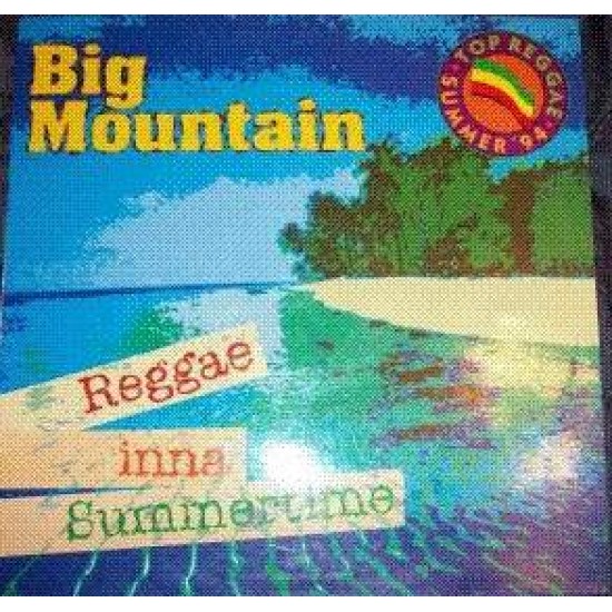 Big Mountain ‎"Reggae Inna Summertime" (12")