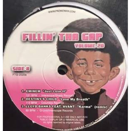 Fillin' Tha Gap Volume 20 (12")